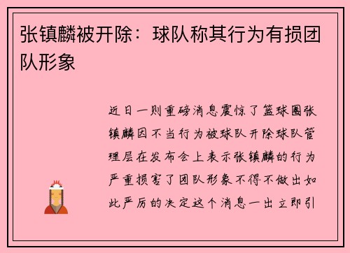 张镇麟被开除：球队称其行为有损团队形象